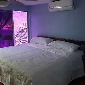 Suite con Cama King